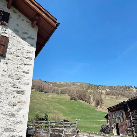 Mountain Milly *