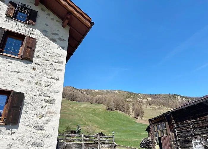 Mountain Milly *