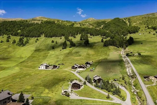 Mountain Milly