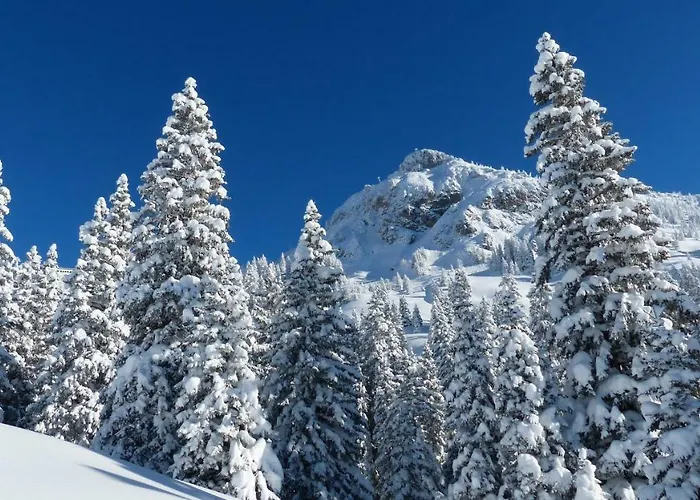 Mountain Milly *