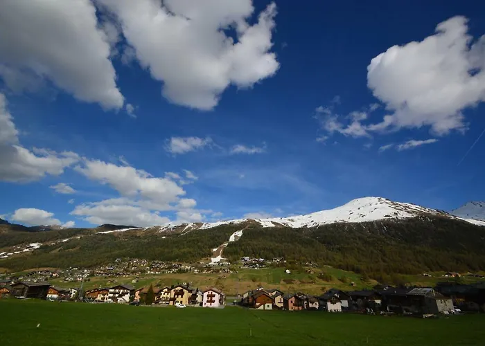 Daire Mountain Milly