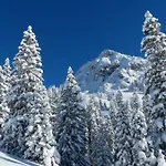 Mountain Milly *