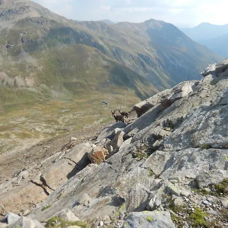 Mountain Milly * Livigno