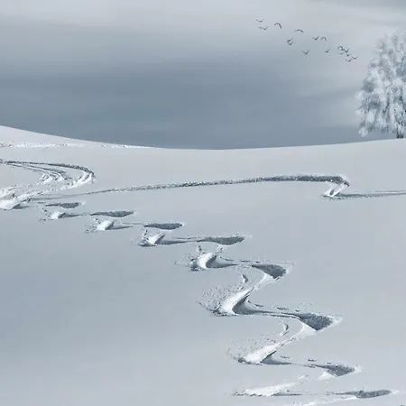 Διαμέρισμα Mountain Milly *