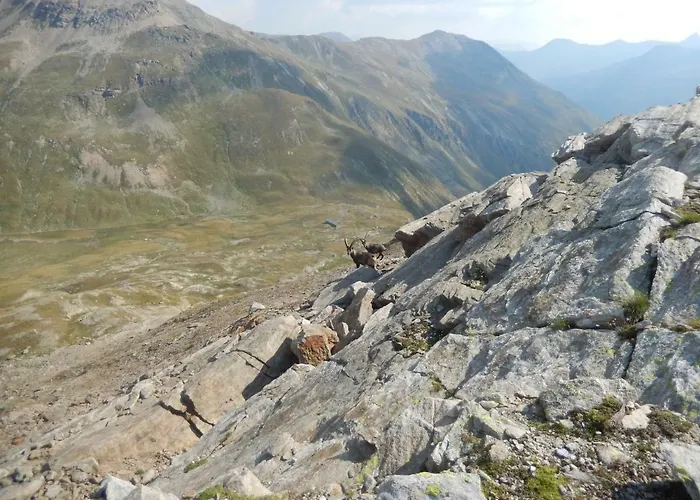 Mountain Milly * Livigno